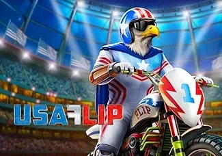 USA Flip screenshot